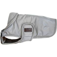 Kentucky Dogcoat Reflective Water Repellent 35