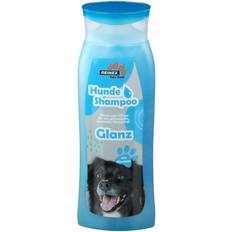 Hunde Hunde Shampoo Glanz