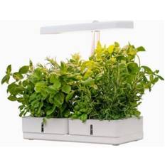 Daisy Hvid Vækstlampe 20W 1450lm