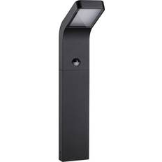 Paulmann Kulma LED-gadelampe med Sensor SWR Antracit Pullert