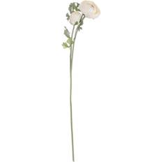 Blanc Plantes Artificielles Hill Interiors Soft Cream Ranunculus Flower L15 Artificial Plant