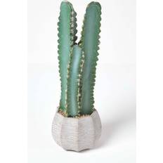 Lanterns Homescapes Hylcocereus Artificial Cactus Lantern