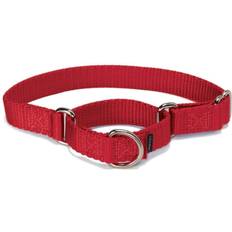 Petsafe dog collar PetSafe Premier Martingale Dog Collar