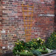 Garden Heavy Duty Fan Trellis 183cm