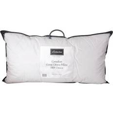Bed Pillows Die Zudecke Die Zudecke Canadian Goose Kingsize Down Pillow