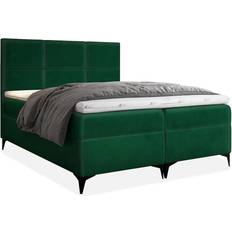 Mirjan24 Fava Stilvoll Doppelbett 200x200 cm Grün Boxspringbett