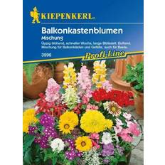 Günstig Blumensamen Kiepenkerl Balkonkastenblumen Inhalt: 2