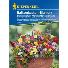 Günstig Blumensamen Kiepenkerl Balkonkasten-Blumen Mix Inhalt: ca. 4