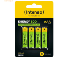 Intenso International Batteries Rechargeable Eco AAA HR03 850m