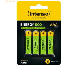 Rechargeable aaa batteries Intenso rechargeable batteries NiMh HR03 AAA 850 mAh blister of 4
