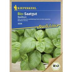 Kräutersamen Kiepenkerl BIO Basilikum ca.