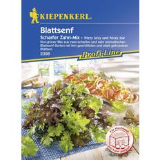 Kiepenkerl Profi-Line Blattsenf Scharfer Zahn-Mix Brassica juncea