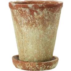 Plant Saucers 7" Distressed Terra Cotta Cement Planter with Saucer