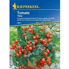 Blumensamen Kiepenkerl Tomate Vilma Solanum lycopersicum, Inhalt: