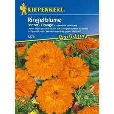 Günstig Blumensamen Kiepenkerl Ringelblume Prinzeß Calendula