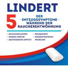 Nicotinell Kaugummi 2 mg Spearmint 96