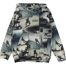 Molo 116 Hoodies Molo Hættetrøje, Ratata/Skate now