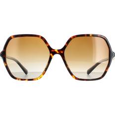 Bvlgari Square Havana Brown Gradient Polarized BV8238B