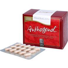 Integratori Masquelier's Anthogenol OPC Capsules 90 pcs