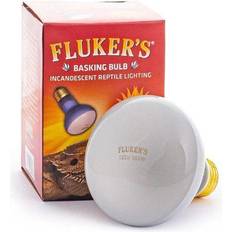 Candle Halogen Lamps Flukers Basking Halogen Lamps 100W E26