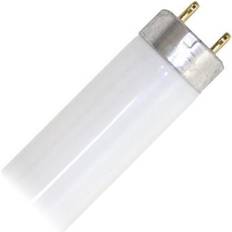 Fluorescent Lamps Philips 280933 F17T8/TL830/PLUS/ALTO 2 Foot Plus Straight T8 Fluorescent Tube Light Bulb