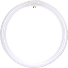 G10q Fluorescent Lamps Sunlite FC12T9/DL Fluorescent Lamps 32W G10q