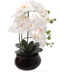 Flower arrangement in vase Orchid Flower Arrangement In 18 Flowers Vase