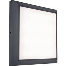 IP44 Plafones ECO-Light Aplique Exterior LED Helena 20 W 36 x 220 x 220 mm - Antracita Plafón