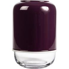 Capsule clear/purple