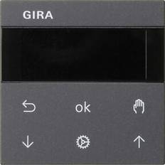 Gira Curtain Switches Gira Bedienaufsatz ANTH 536628