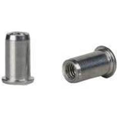 Blindnietmutter Nietschaft 250 ST dxl 9x15,5mm M6 STA Stand Flachrundkopf 500 St.