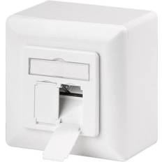 Pro CAT 6a universal wall plate inc. on-wall mounting frame