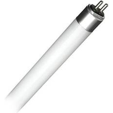 Led type a bulb Sunlite 88421 T5/LED/IS/4'/25W/40K/HL LED Straight T5 Tube Light Bulb for Replacing Fluorescents