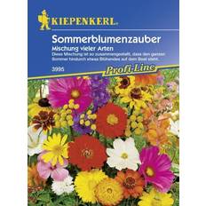 Günstig Blumensamen Kiepenkerl Saatgut Sommerblumenzauber 2