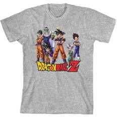 Anime graphic tees Boys 8-20 Dragon Ball Z Anime Graphic Tee, Boy's, Medium, Grey