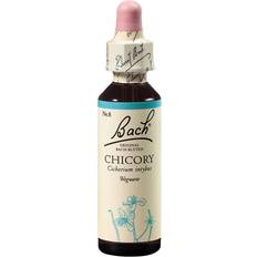 Chicory Bach Chicory droppar