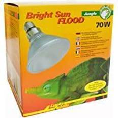 Lucky Reptile Bright Sun FLOOD Jungle 70