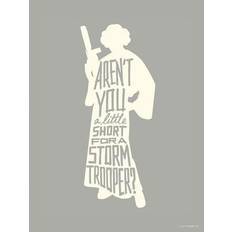 Plakate & Poster Komar Wandbild Star Wars Silhouette Quotes Leia Disney B/L: ca.