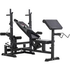 Multi-Exercise Bench