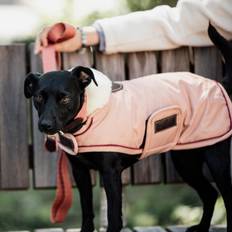 Kentucky Dogwear Cappottini