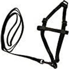 Hundhalsband & Selar - Kanin Husdjur Nobby Utrustning Nylon Kanin Svart