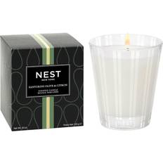 Yellow Candlesticks, Candles & Home Fragrances NEST New York Santorini Olive & Citron Classic Scented Candle 8.1oz