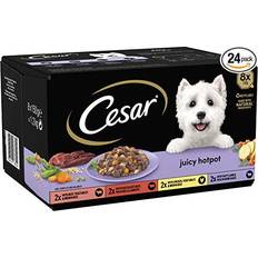 Juicy Hotpot Adult Wet Dog Food Mixed Selection 8x150g