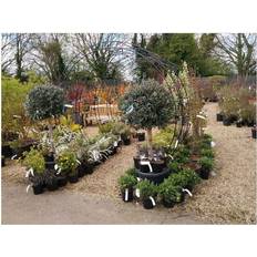 Black Trellises Poppy Forge Round Tunnel Arch Including Ground Spikes