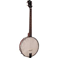 Cheap Banjos Recording King RKT-05 Dirty 30s Banjo