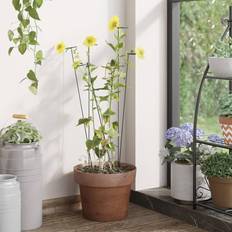 vidaXL plantespyd haven 20 stk. Planteopsats