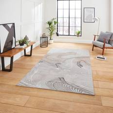 Carpets & Rugs Think Rugs 50054 Abstract High Density Grey, White
