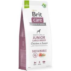 Brit junior Brit Care Dog Sustainable Junior Large Breed Chicken & Insect dry dog food