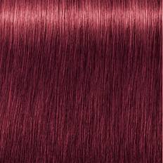 Indola PCC Permanent Color Cream Fashion