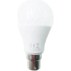 Light Bulbs ExtraStar 10W led Ball Bulb B22 Daylight 6500K